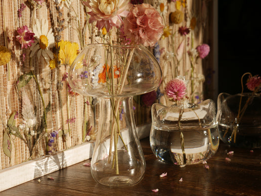 Clear Mushroom Glass Vase | Propagation | Planter